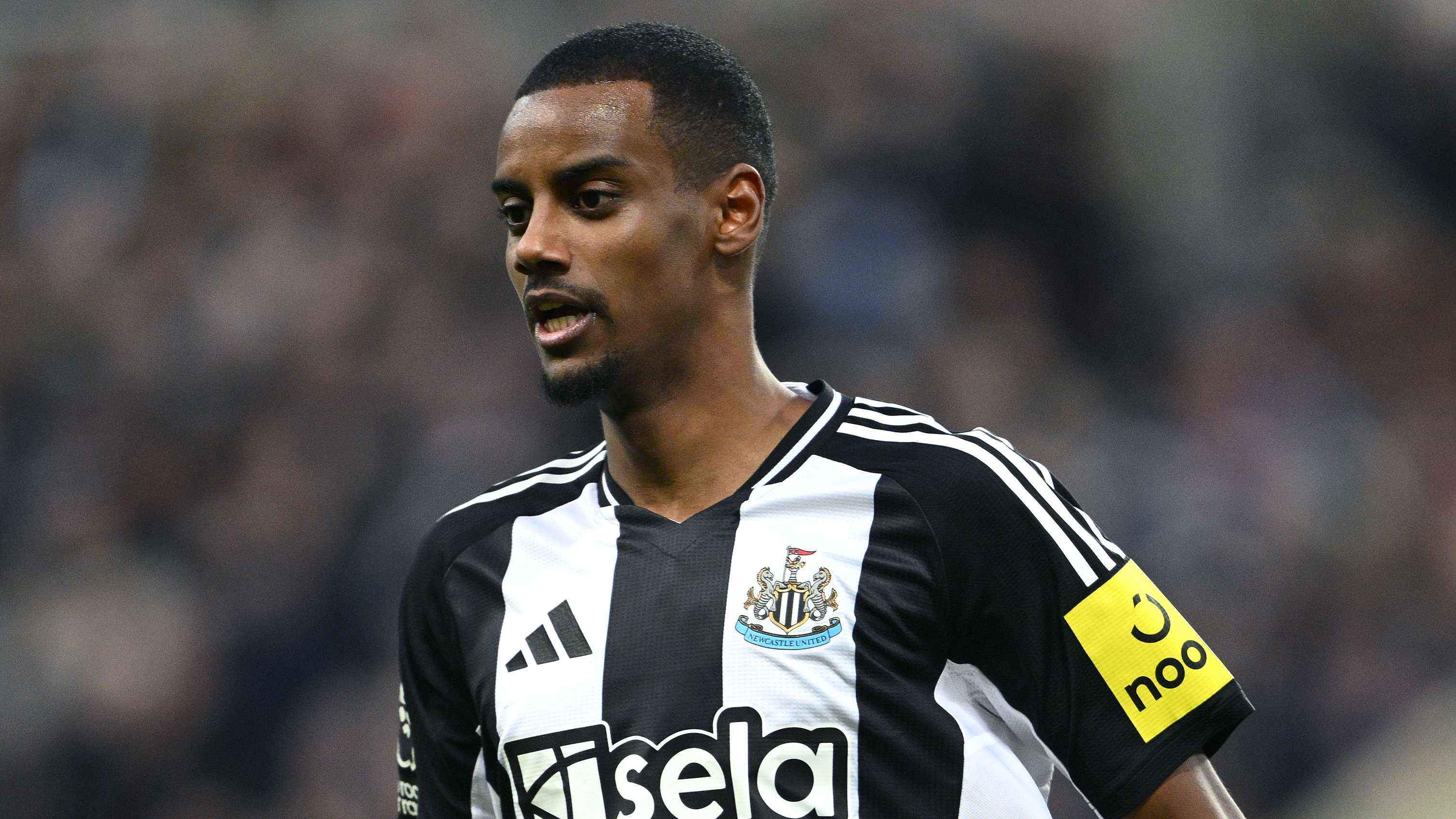 峰时期的老 峰时期的老