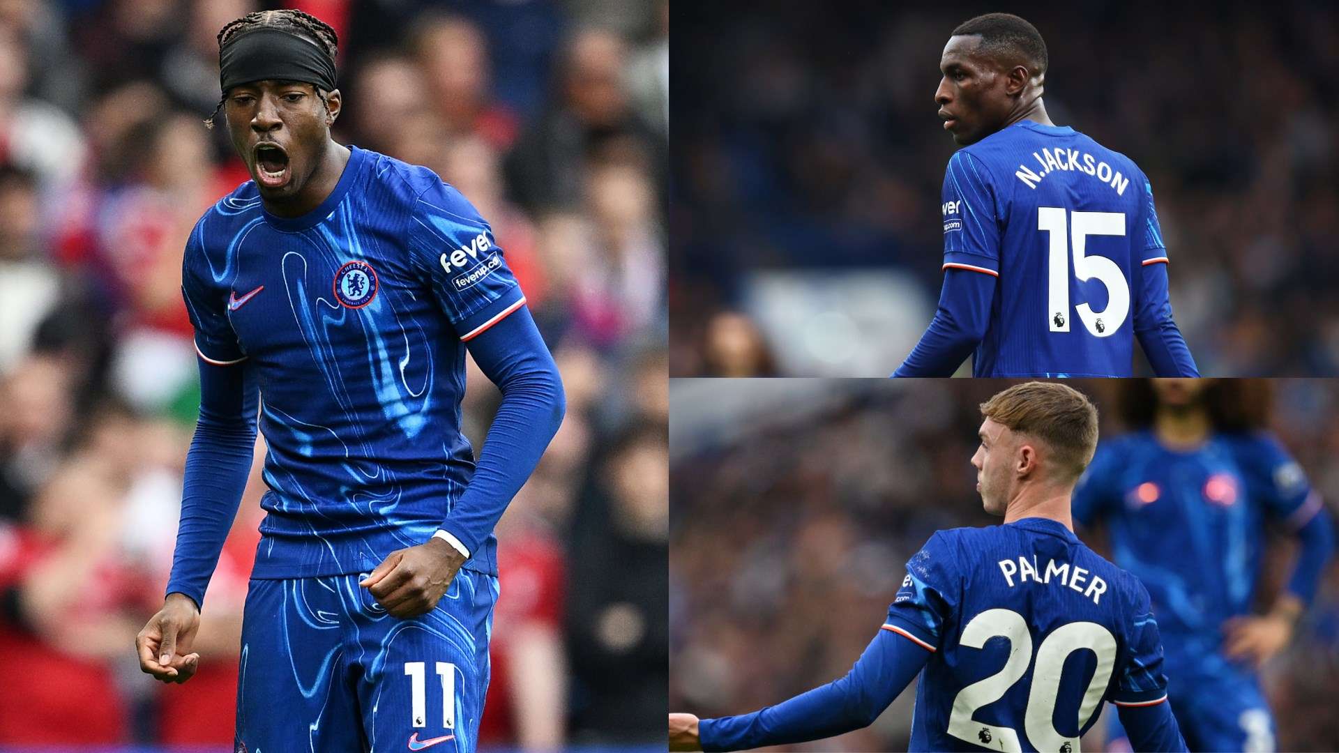 他們經歷了 他們經歷了