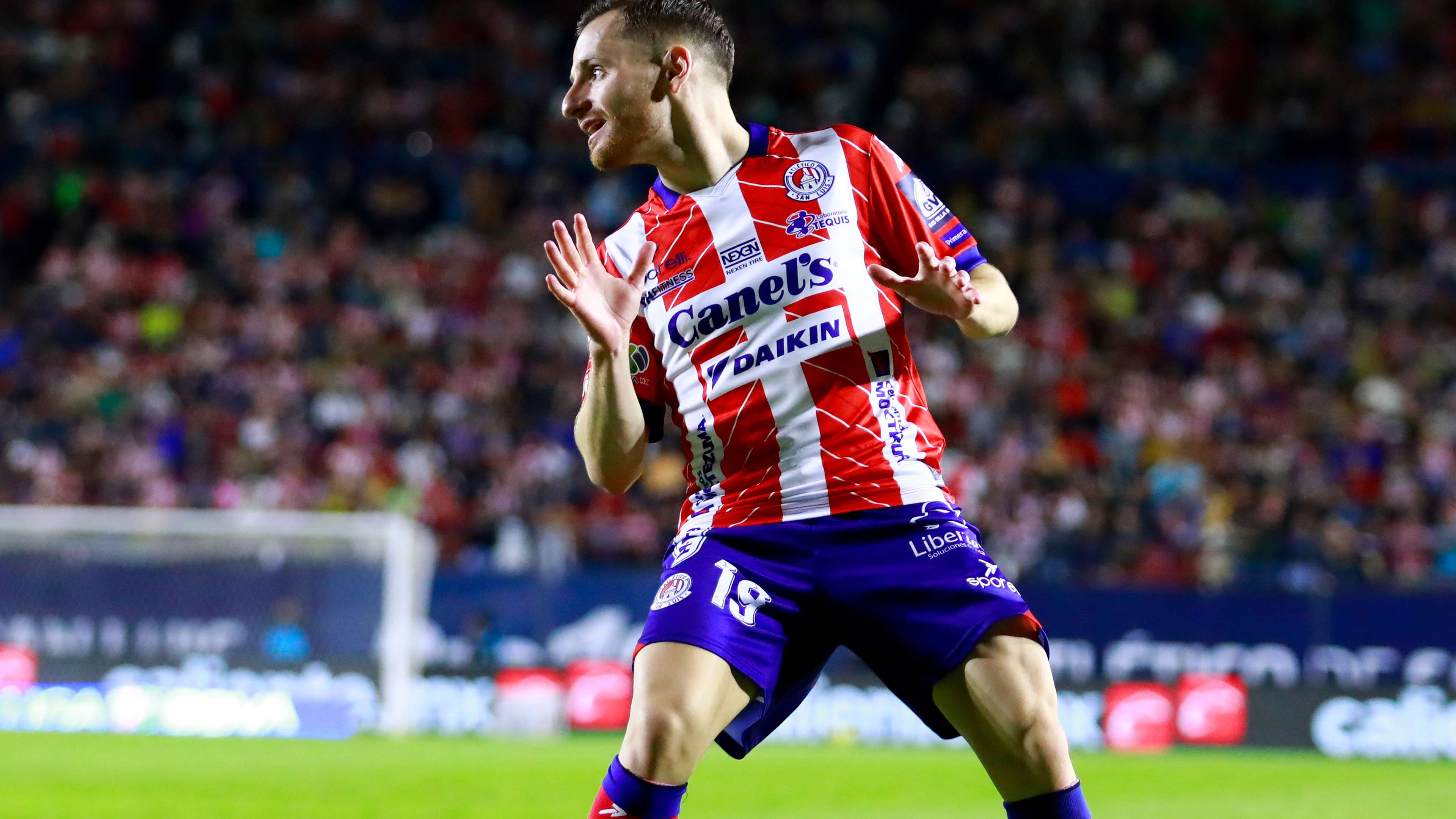 就能够找到 就能够找到