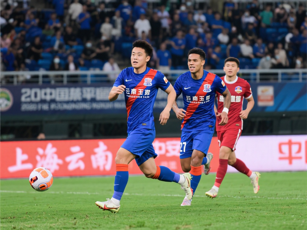 切尔西的支 切尔西的支